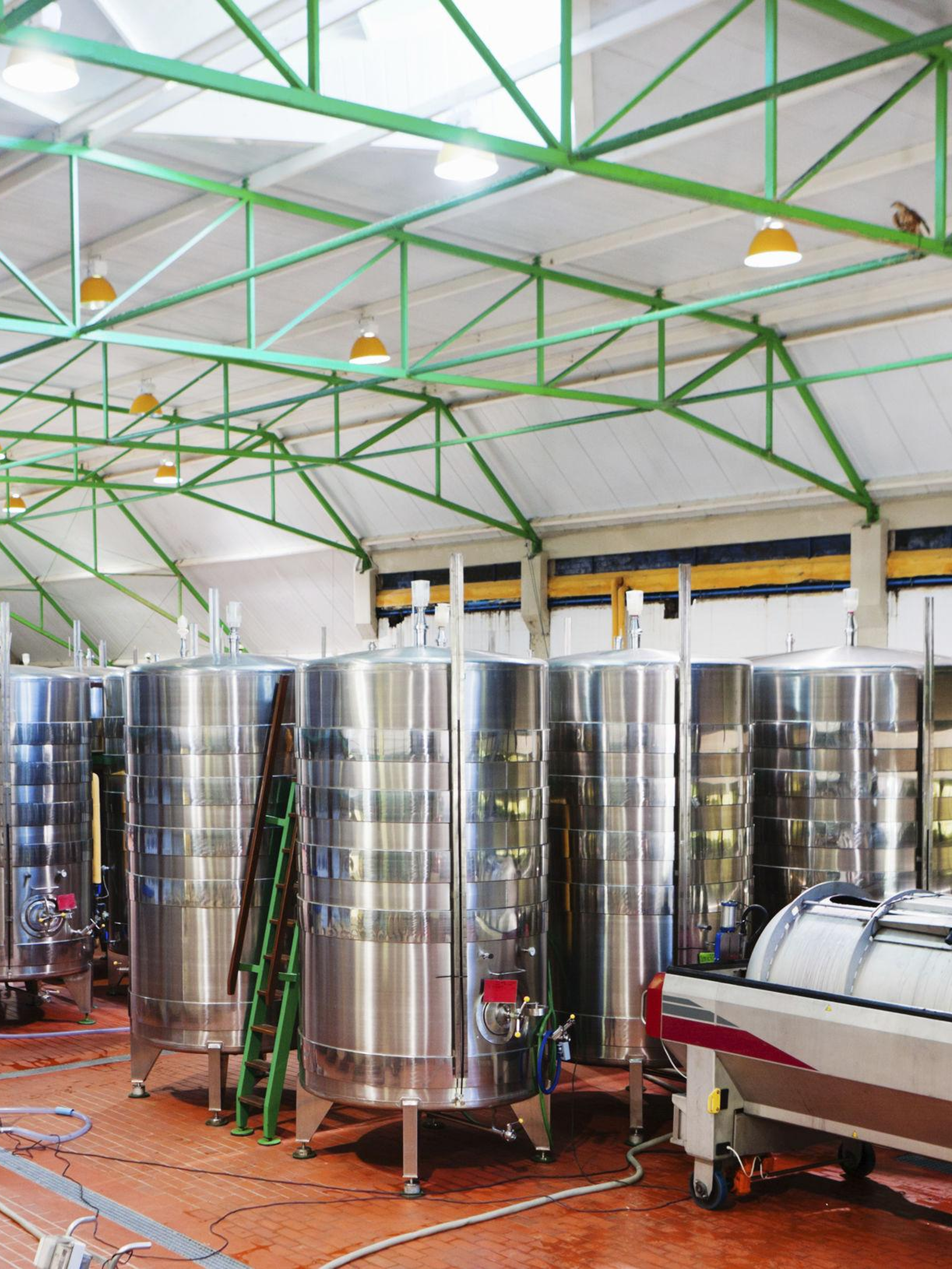 Winery Equipment
